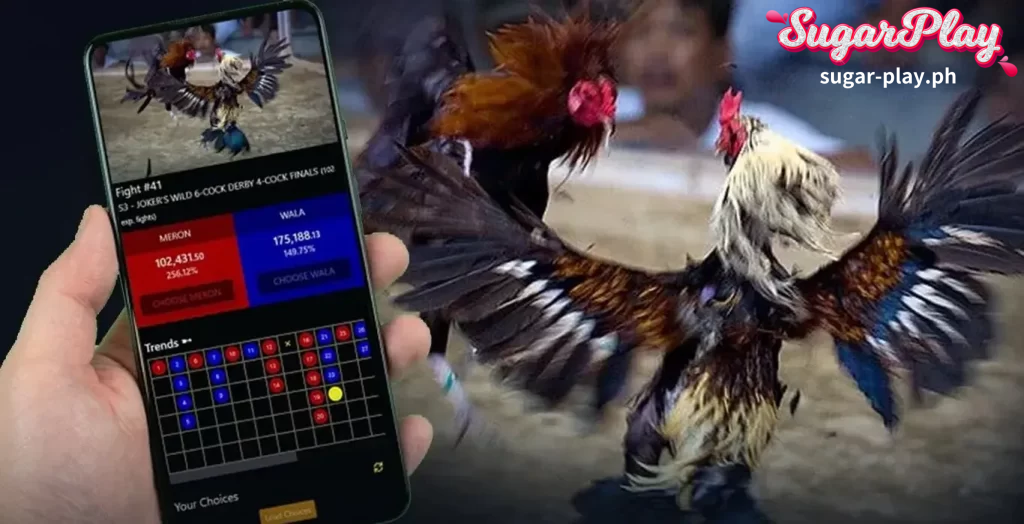 Meron Cockfights: The Legal Haven for Filipino Cockfighting